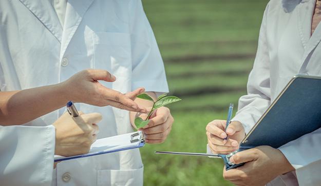 Rigorous inspection and traceability